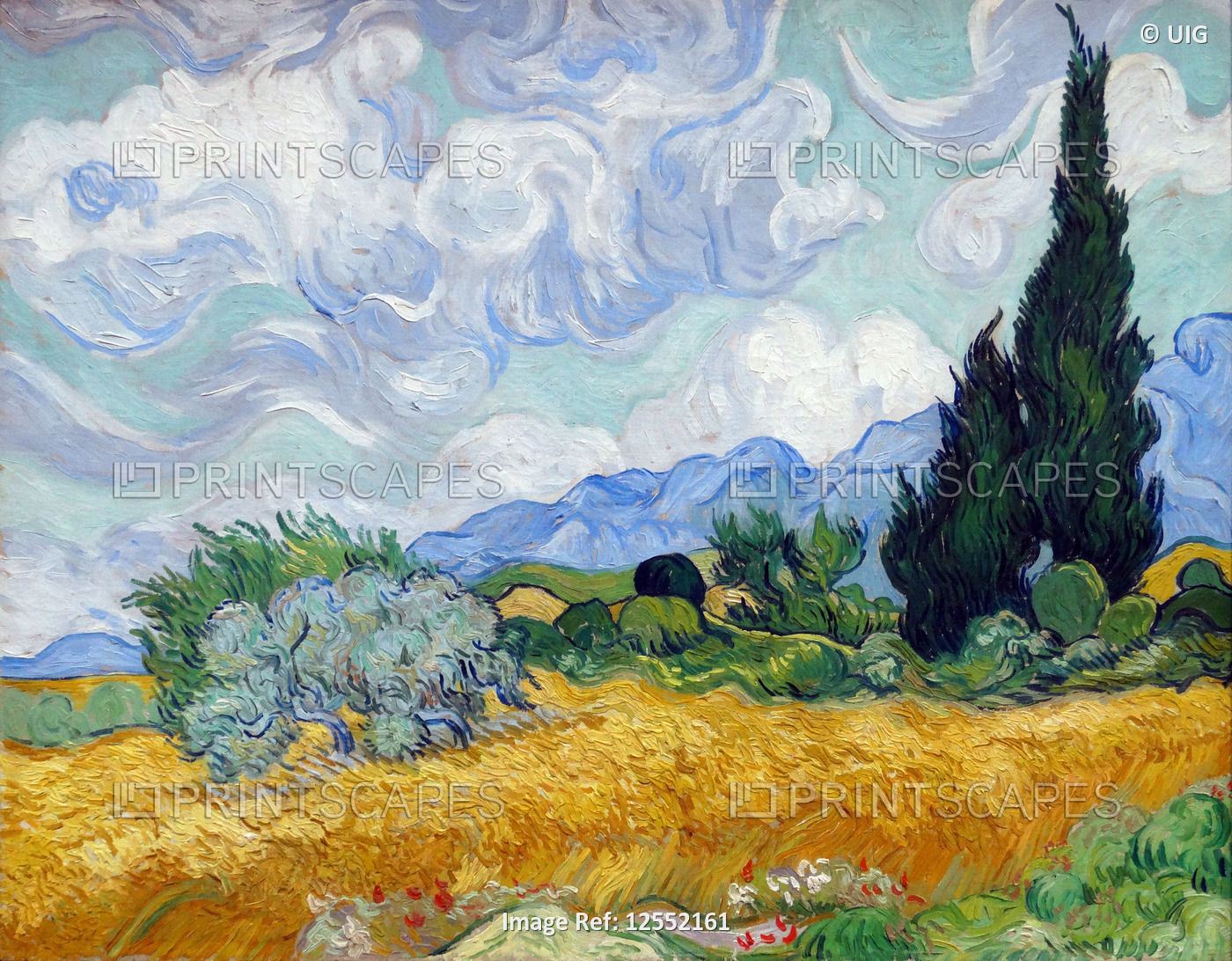 Painting titled 'A Wheatfield, with Cypresses' by Vincent van Gogh
