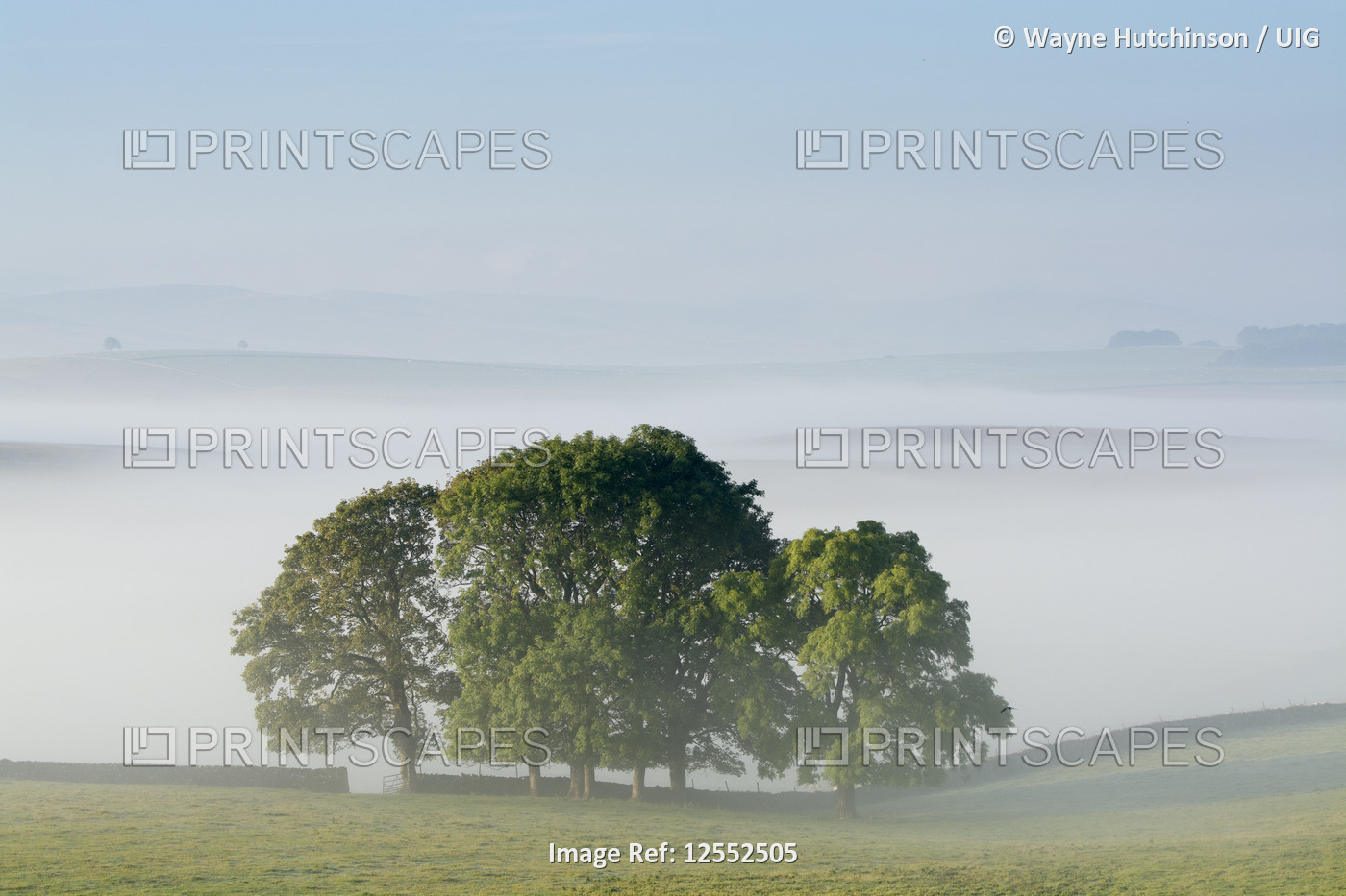 Misty, atmospheric autumnal landscape, on the northern edge of the Howgill ...