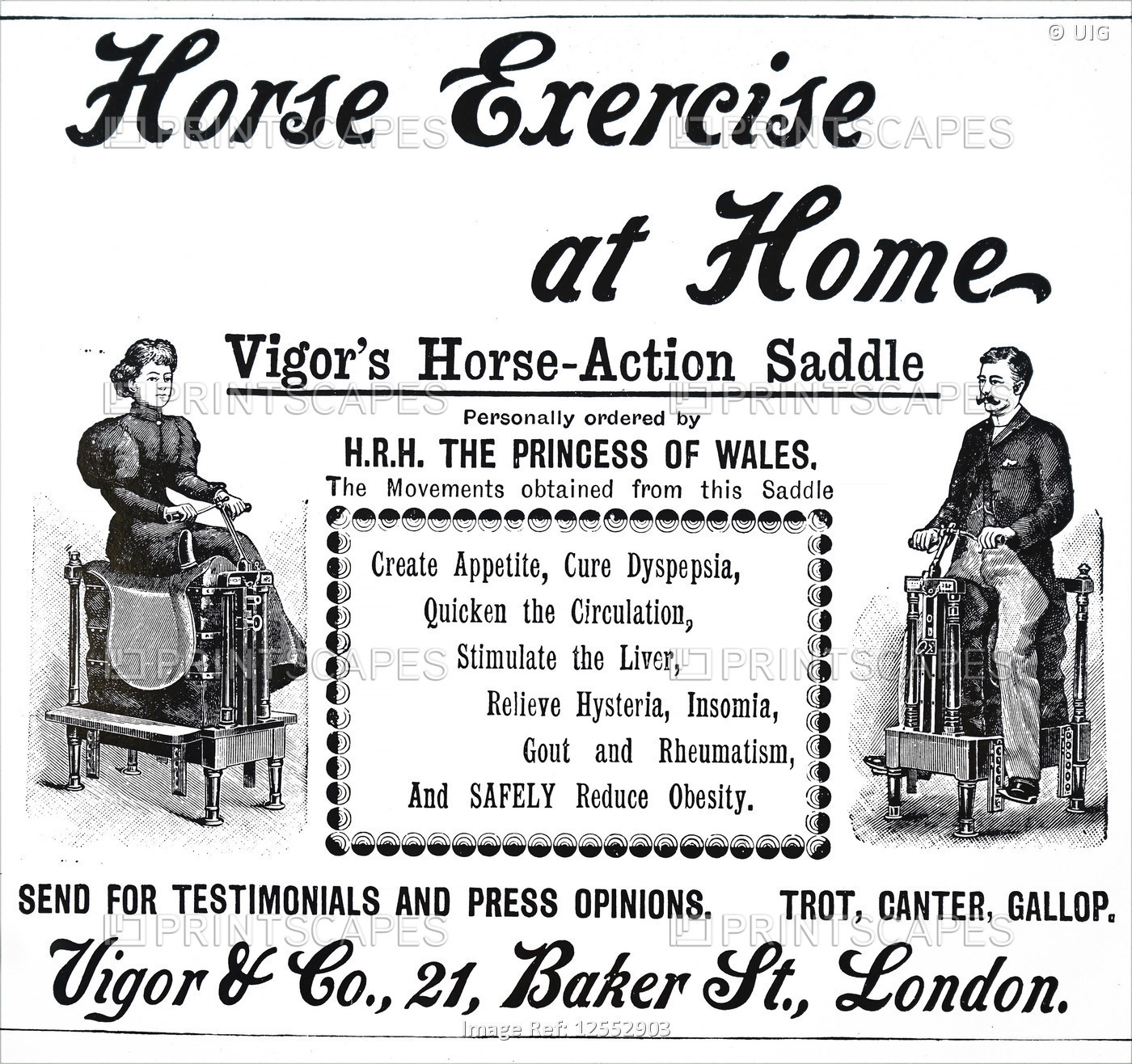 Advertisement for a Vigor's Horse-Action Saddle, 19th century